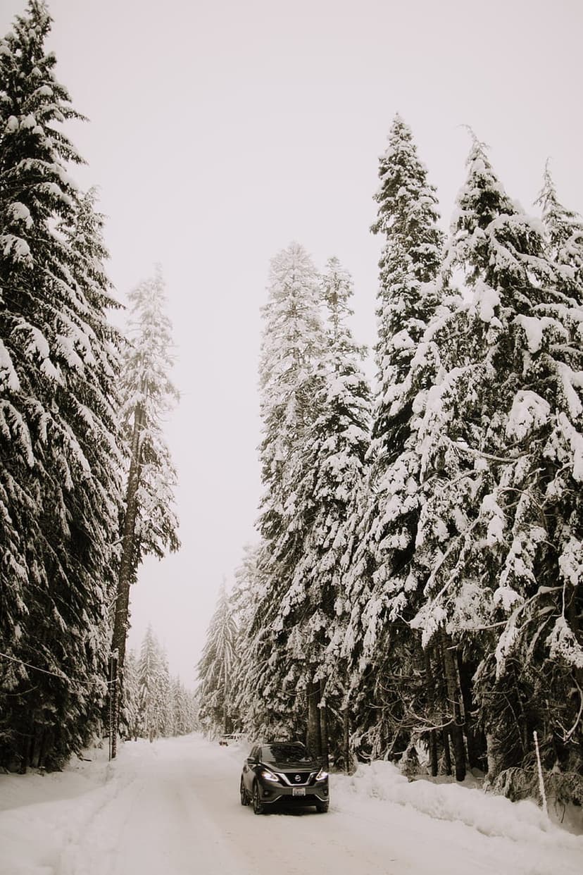 Car driving on a white snow-covered road between tall frozen evergreen trees in a dense wintry forest.