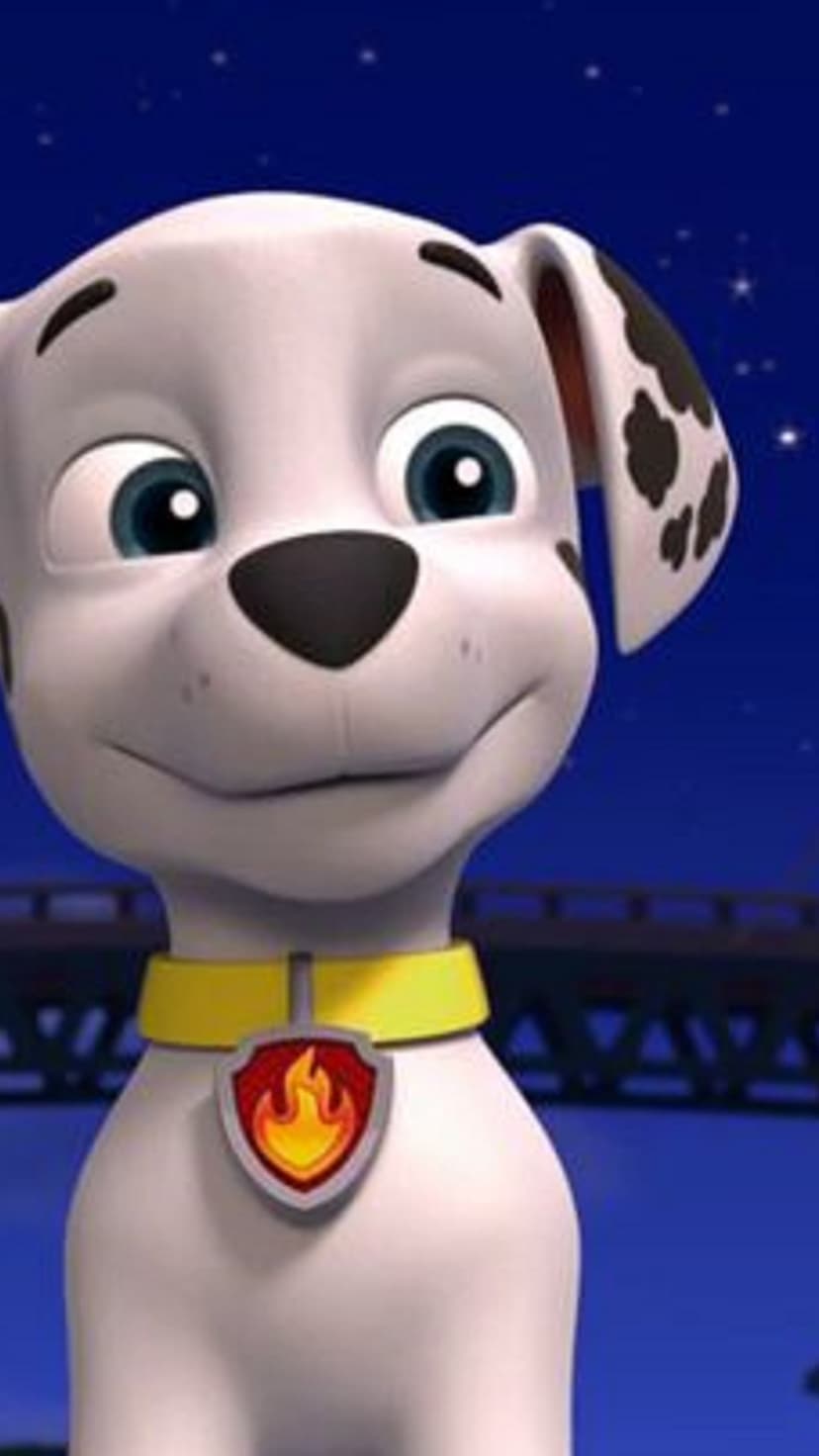 Marshall the Dalmatian dog wearing a yellow fire collar against a dark blue starry night sky background.