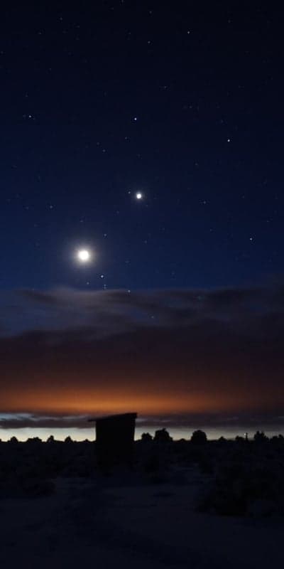 Ember Glow - Nature's Fiery Silhouette