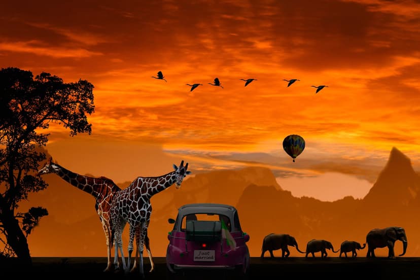 Giraffes and elephants silhouetted against a fiery orange sunset with a hot air balloon and vintage safari car.
