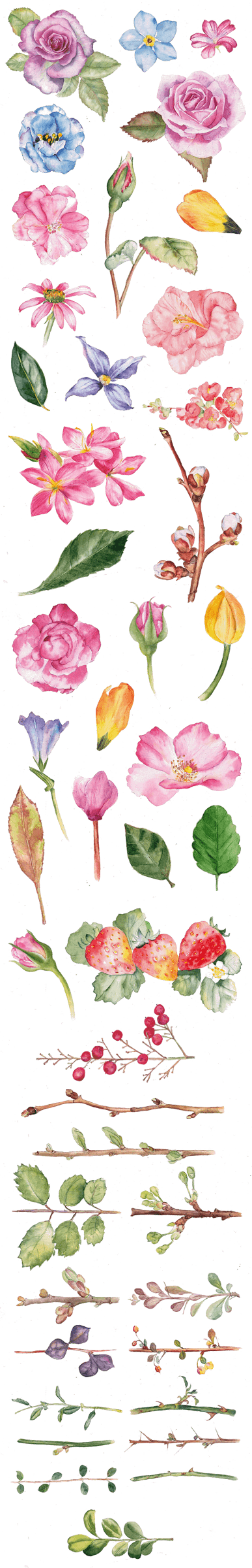 Floral watercolor roses with green leaves are arranged artistically against a light blue textured background.