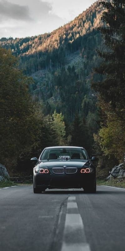 Dark BMW on Scenic Mountain Road