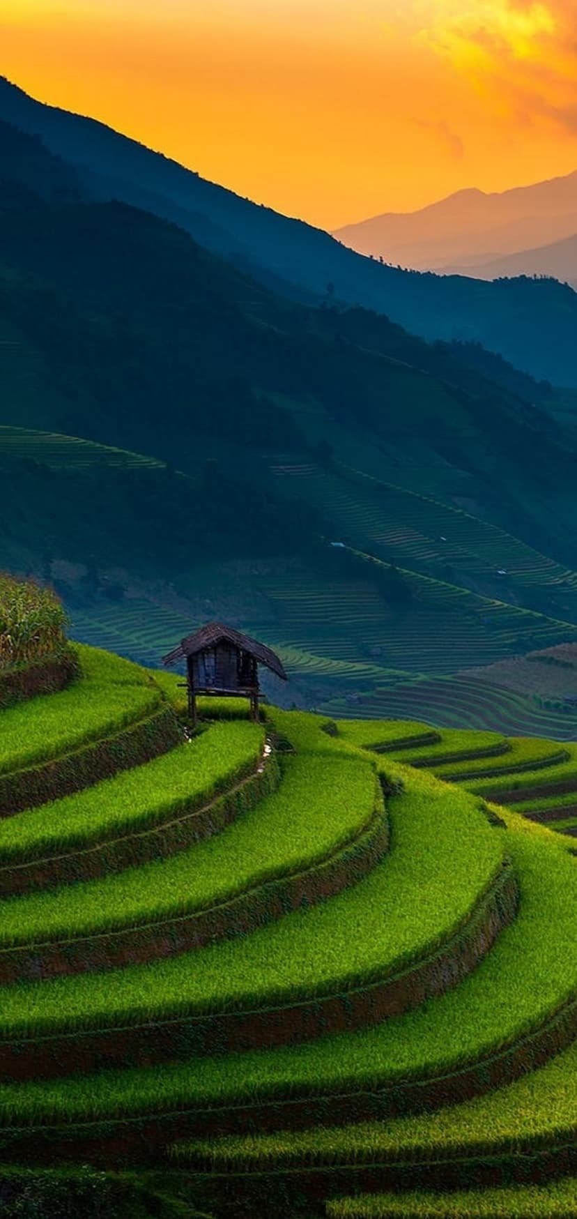 Layered green rice terraces cascade toward a wooden hut under a vibrant orange and yellow sunset sky.