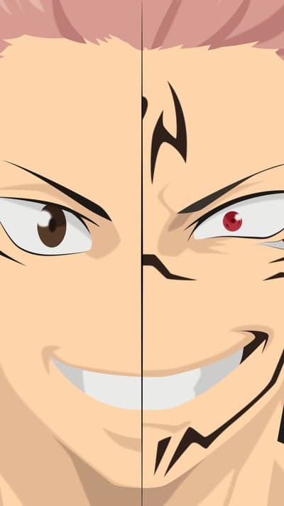 Yuji and Sukuna - Duality of Souls Close-Up