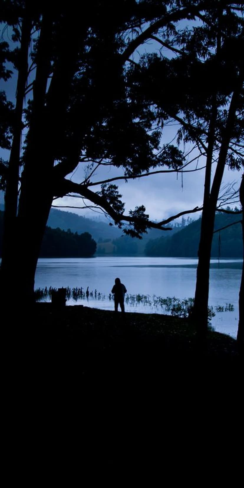 A person's silhouette stands by a calm river under a twilight sky with dark tree branches in the foreground.