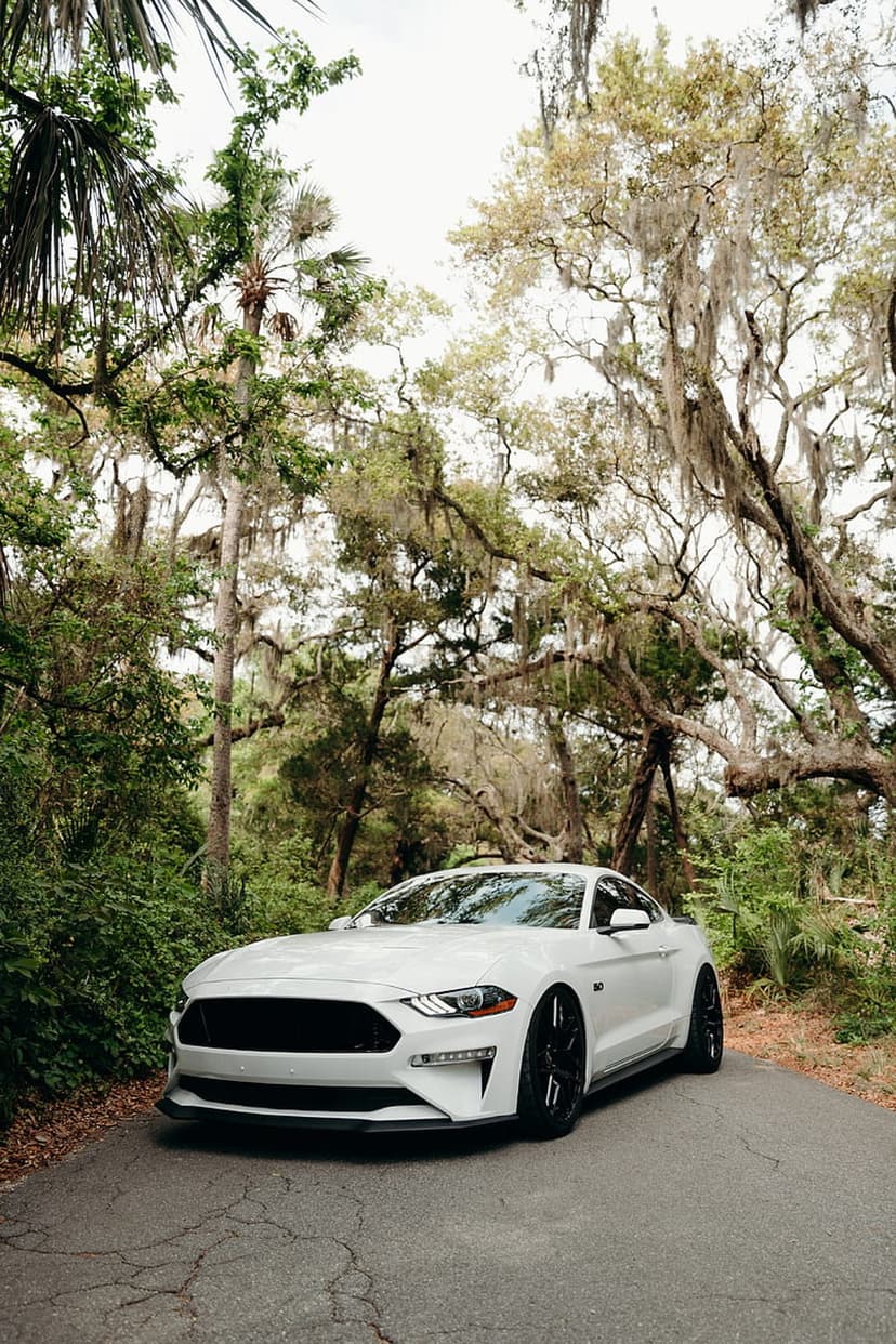 White Ford Mustang GT with black rims parked on a paved road surrounded by dense mossy green forest trees.
