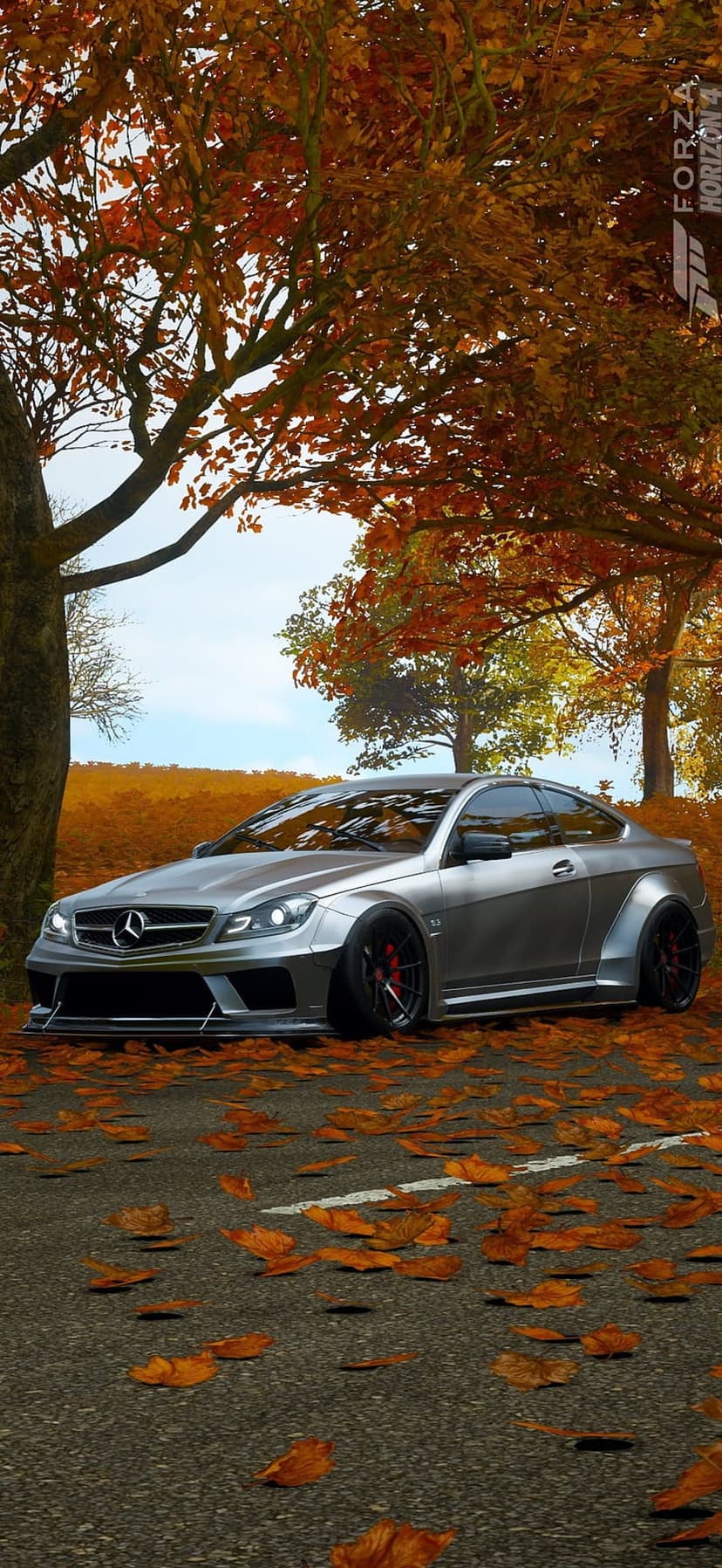 Silver Mercedes C63 AMG Coupe parked on a road covered in orange autumn leaves surrounded by golden trees.