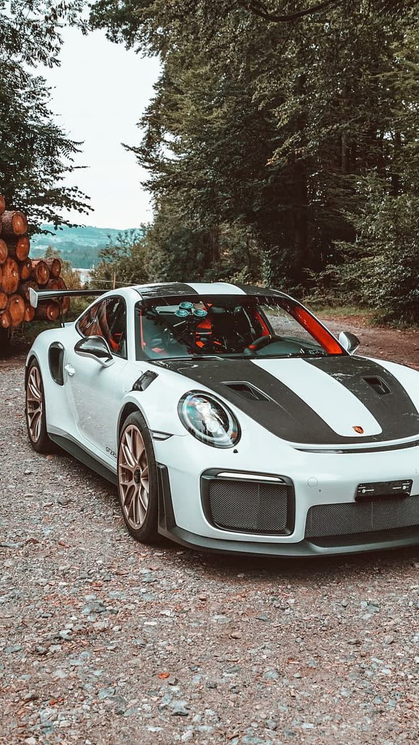 White Porsche 911 GT2 RS with black stripes parked on gravel beside a wood pile in a green forest setting.