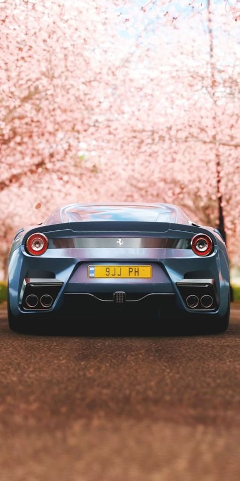 Blue Ferrari supercar rear with yellow license plate parked on a road under pink blooming cherry blossom trees.