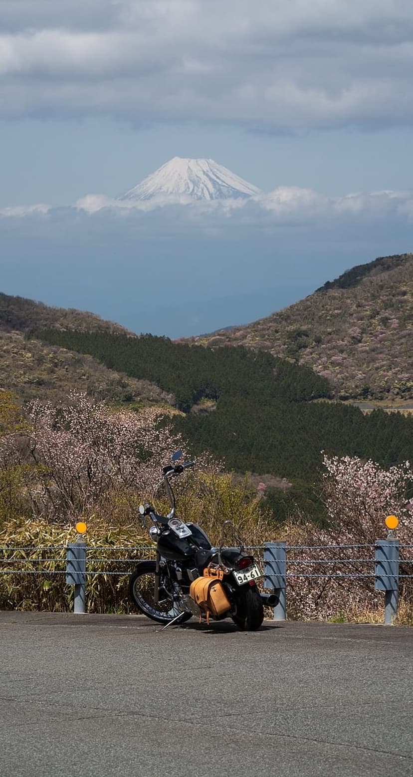 Classic motorcycle parked on a road overlook with Mount Fuji and blooming cherry blossoms in the distance.