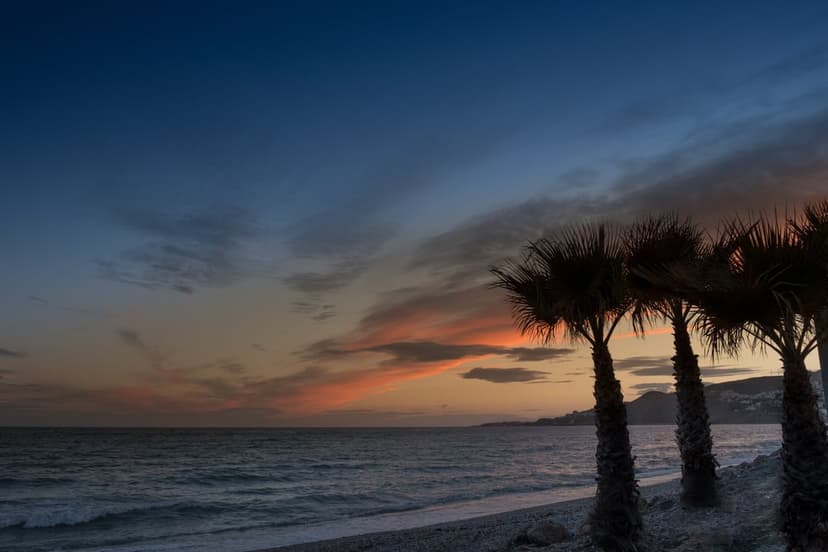 Silhouetted palm trees overlook a calm beach as a pink and orange sunset reflects onto gentle ocean waves.