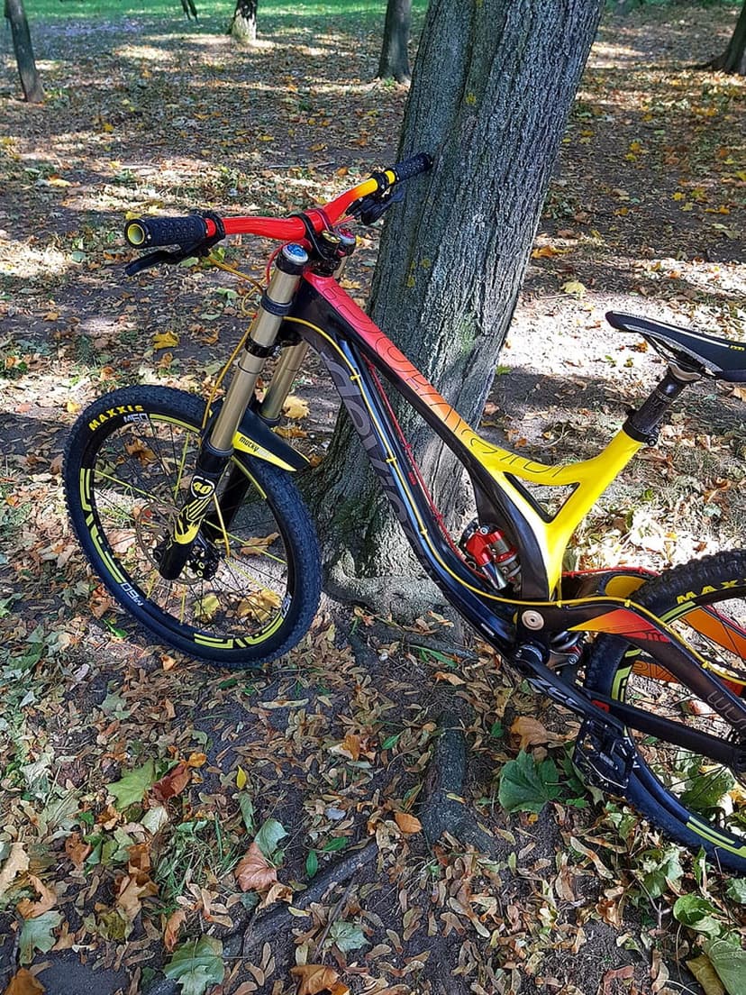 Red and yellow mountain bike leans against a tree trunk over scattered autumn leaves in an outdoor park setting.