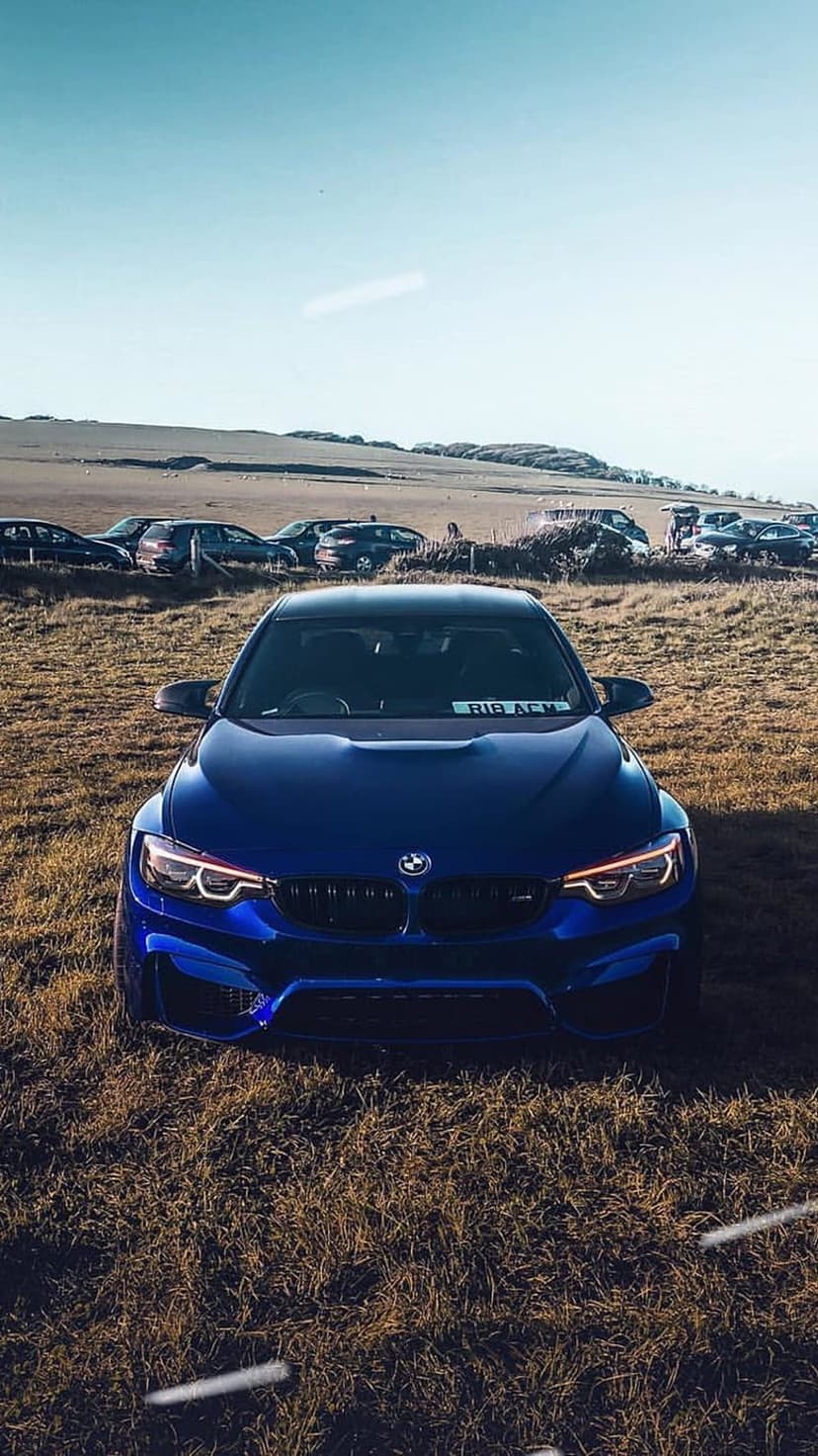 Blue BMW M4 parked on dry golden grass in an open field under a clear sunny sky during a car enthusiast meet.