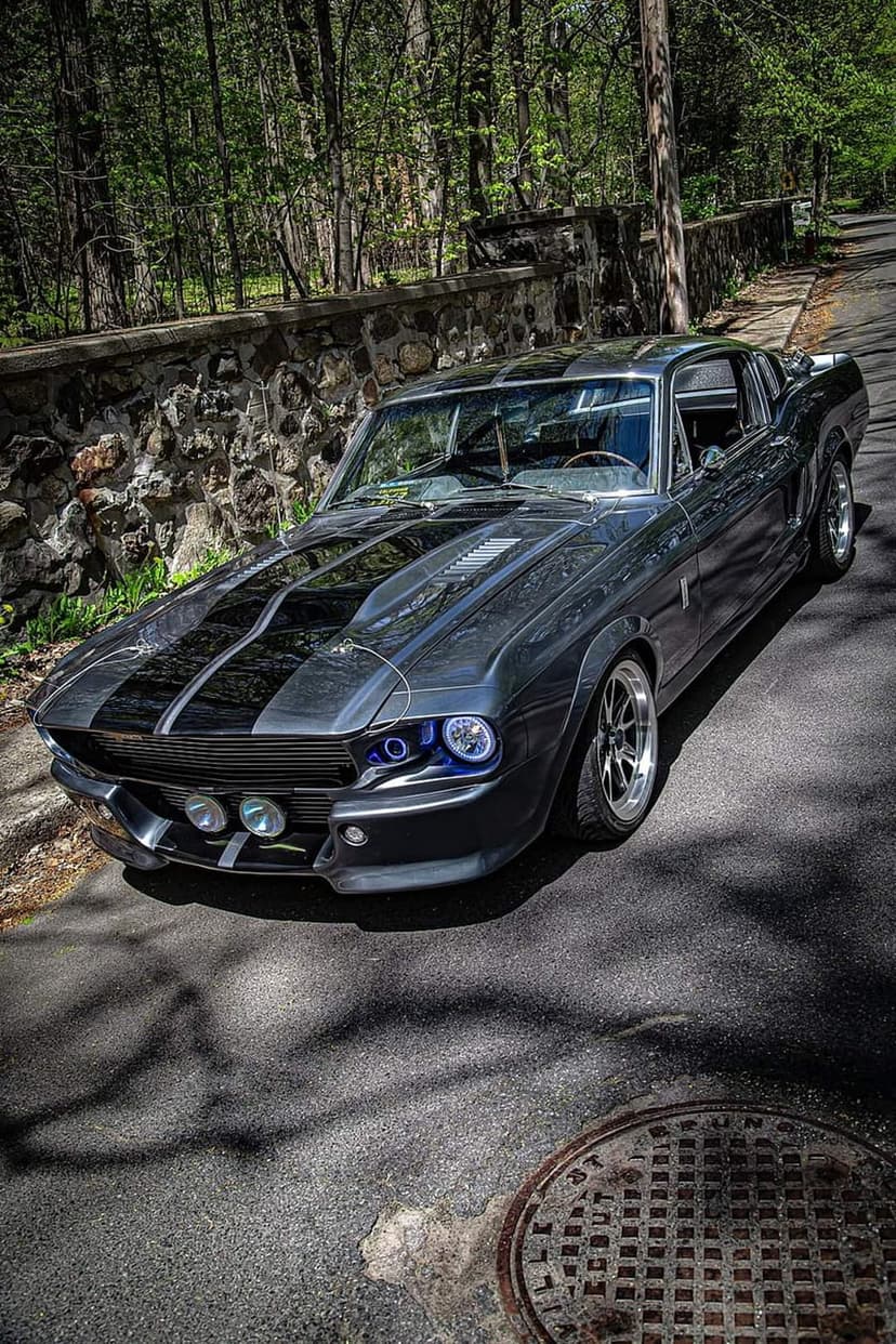 Shelby Mustang GT500 in gray with black stripes parked on a tree-lined road next to a weathered stone wall.