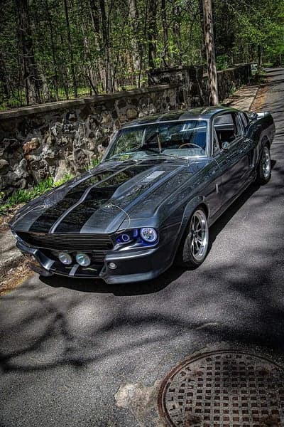 Classic Shelby Mustang GT500 parked on scenic road