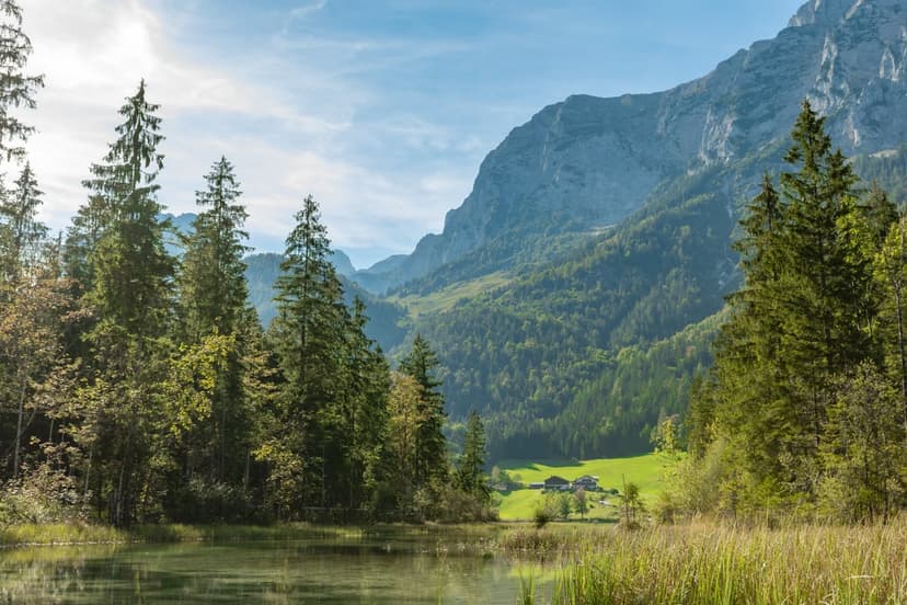 Towering mountain peaks and a dense evergreen forest reflecting in a calm glacial lake under a bright blue sky.