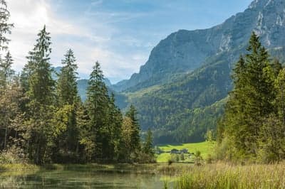 Alpine Lake with Forest and Mountains