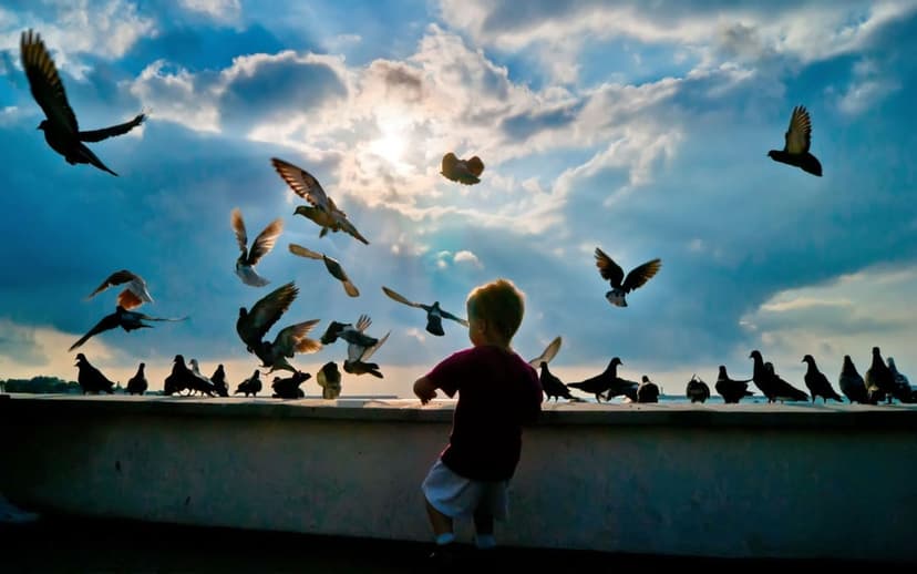 Young boy silhouetted on a ledge as a flock of pigeons takes flight against a dramatic and cloudy sunset sky.