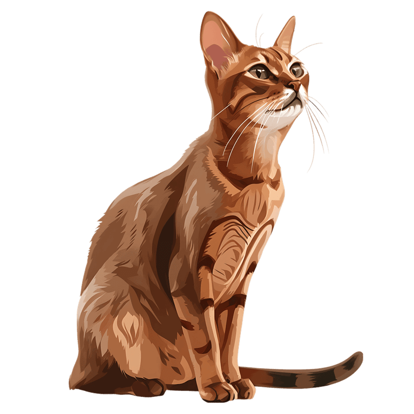 Abyssinian cat sitting with alert upward gaze, detailed tawny fur texture, and bright green eyes on cutout.