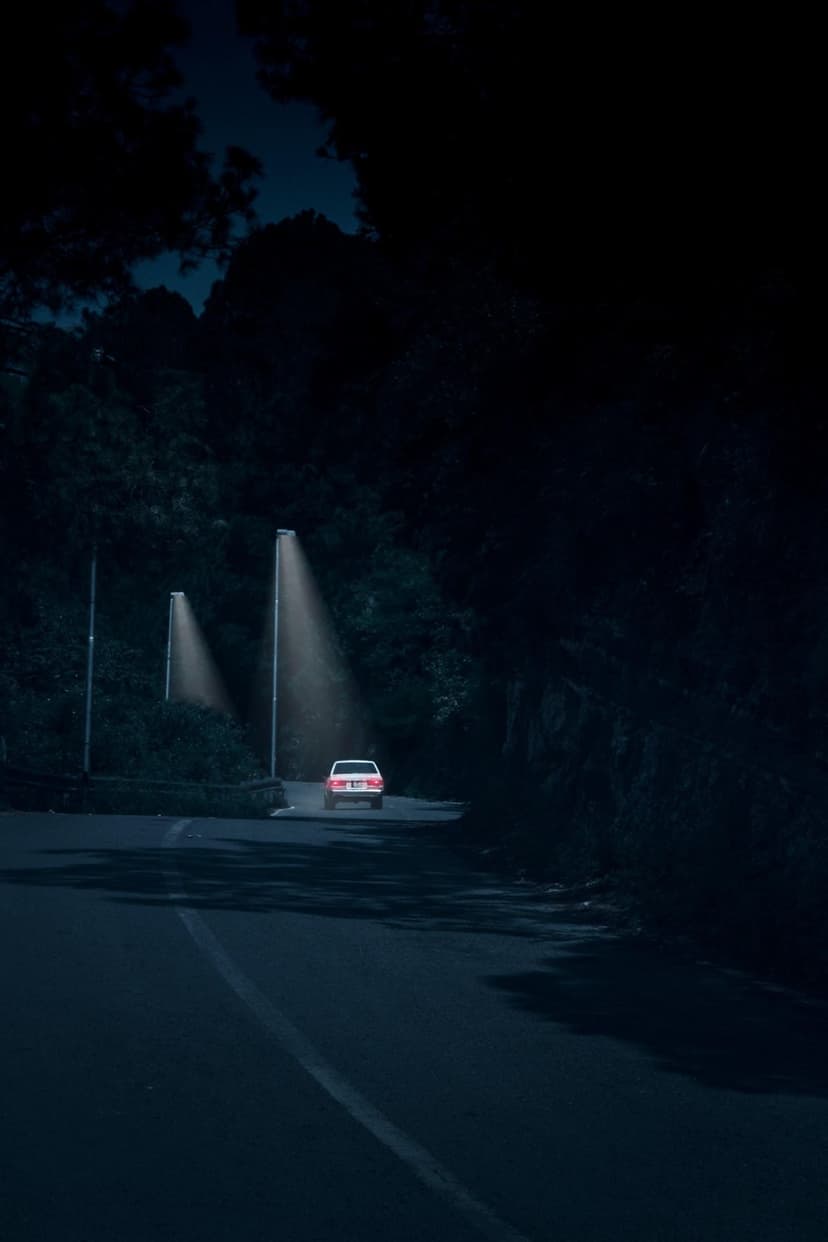 Car's red taillights illuminate a dark winding road under streetlamps surrounded by thick forest trees.