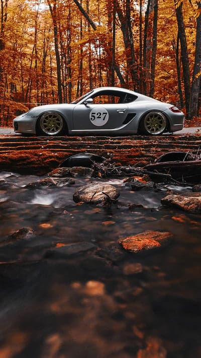 Silver Porsche Cayman S Autumn Forest Stream Road Trip