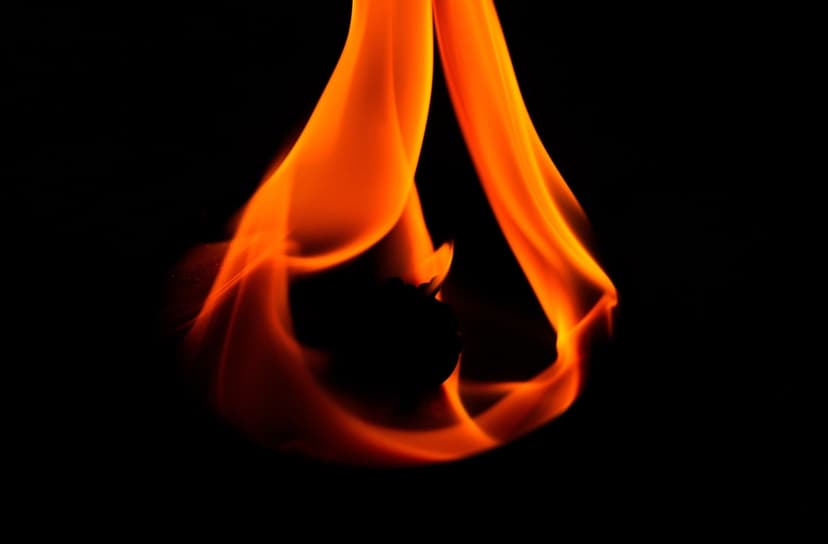 Orange flames swirl in a teardrop shape against a black background with delicate tendrils of light and shadow.