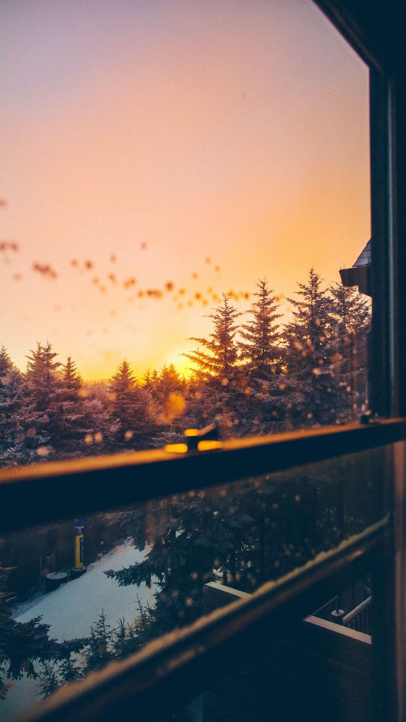 Frosted window overlooking a snow-covered pine forest at sunrise with golden light reflecting on the ice crystals.