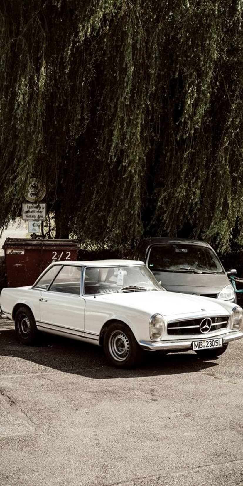 White Mercedes-Benz 230SL Pagoda parked on asphalt under a tree with dappled sunlight hitting the vintage body.