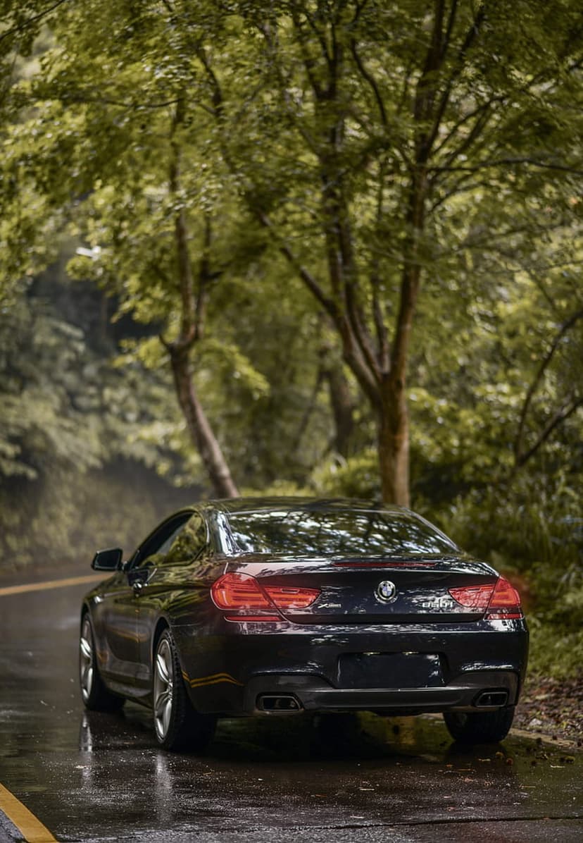 Black BMW 6 Series coupe parked on a damp forest road with green trees reflected on the wet asphalt surface.