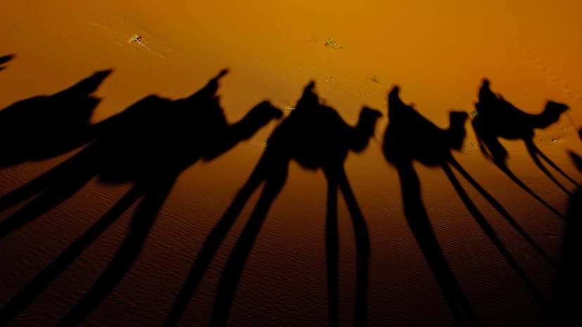 Camel silhouettes with long shadows march across undulating sand dunes during a radiant orange sunset in the desert.
