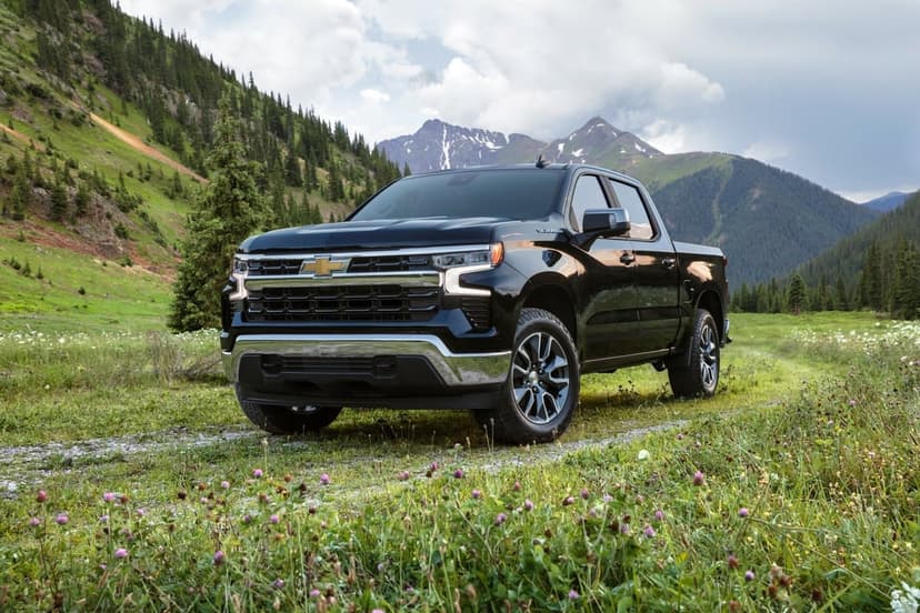Black Chevrolet Silverado parked in a wildflower meadow with snow-capped mountains and cloudy skies background.