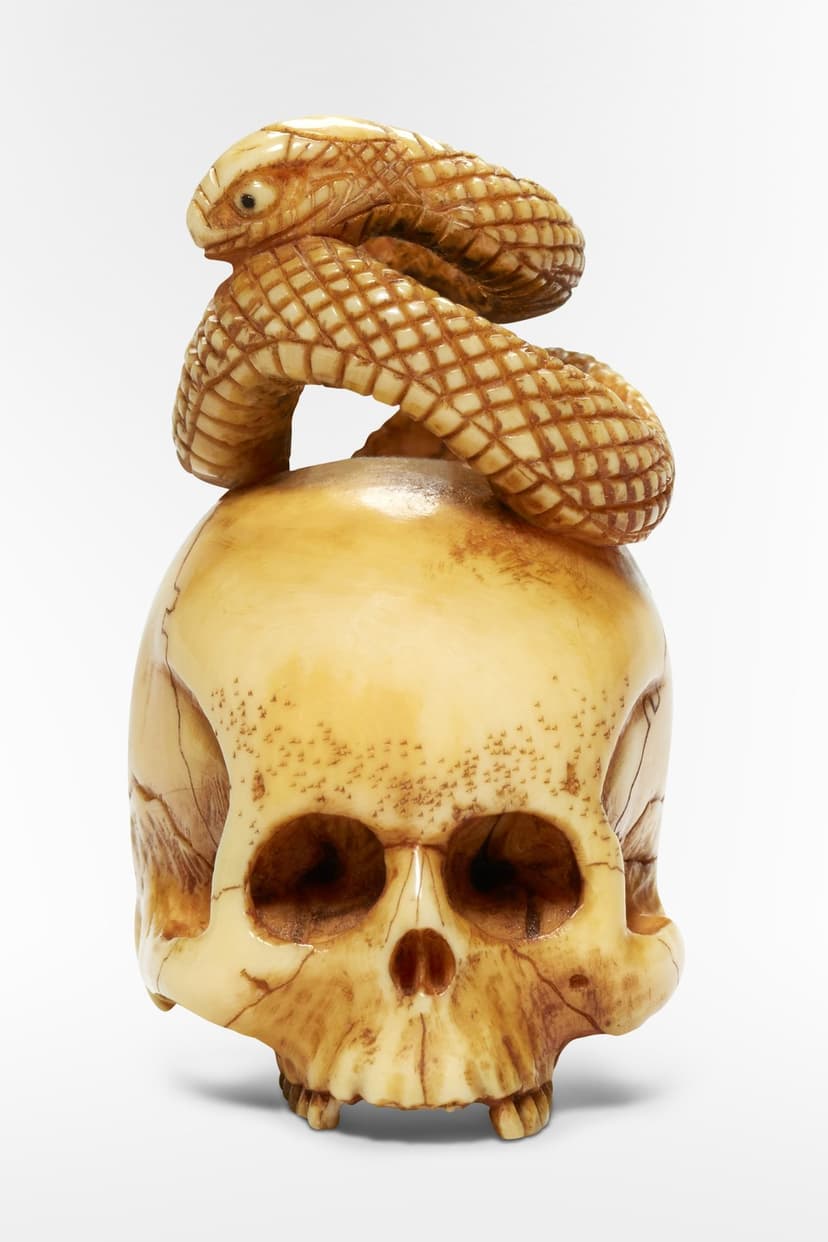 Human skull carved from ivory with a textured snake coiled on top, displaying cranial sutures and raised head.