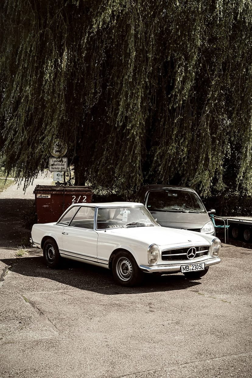 White Mercedes-Benz 230SL convertible parked under the hanging branches of a willow tree in dappled sunlight.