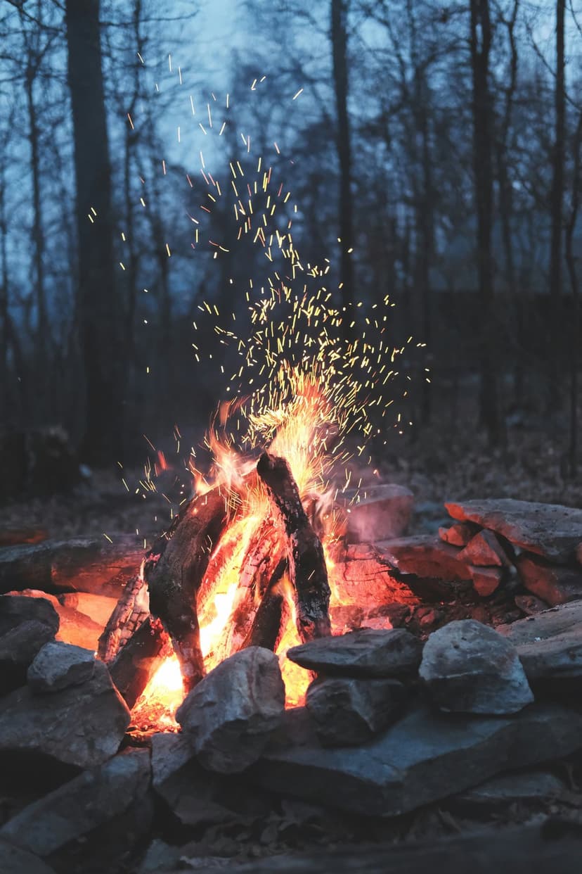 Campfire flames lick charred logs inside a stone ring as orange sparks rise into a dark, silhouetted forest.
