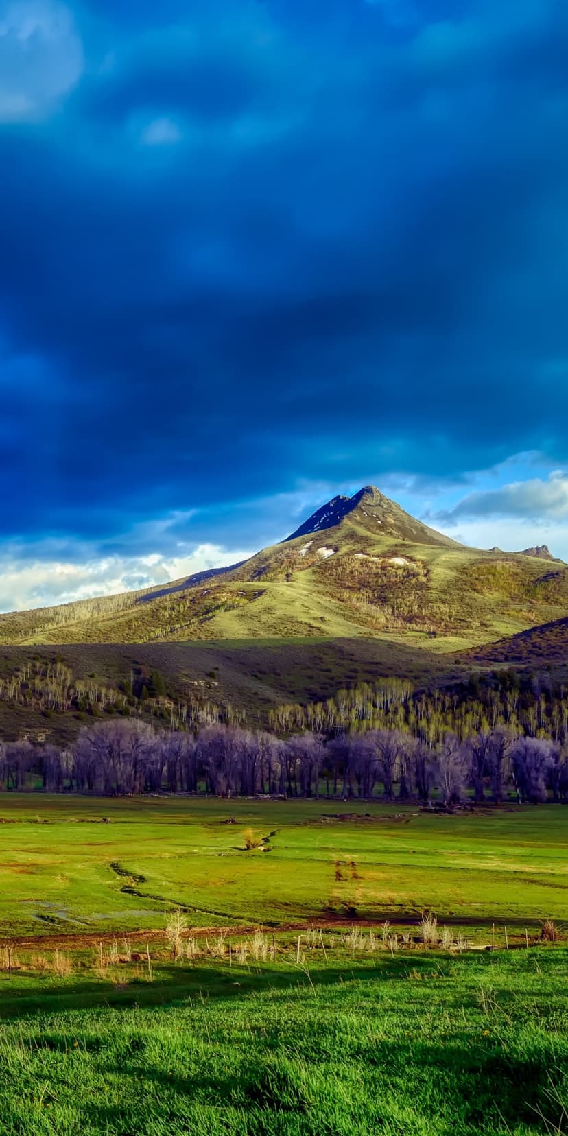 A snow-capped mountain peak looms behind a green meadow and bare trees under dark, heavy storm clouds.