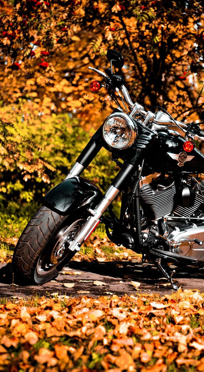 Harley Davidson motorcycle stands amid fallen orange and yellow maple leaves with polished chrome details visible.