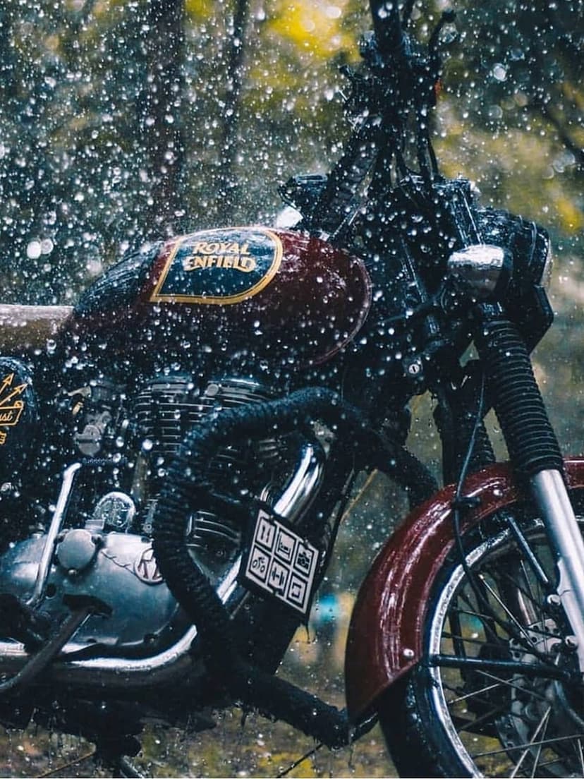 Royal Enfield motorcycle tank with rain splashing on the burgundy paint and chrome details in a blurred forest.