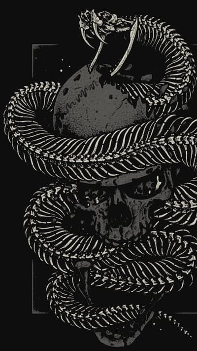 Skeletal Serpent Coiled Around Ancient Skull Mobile Wallpaper
