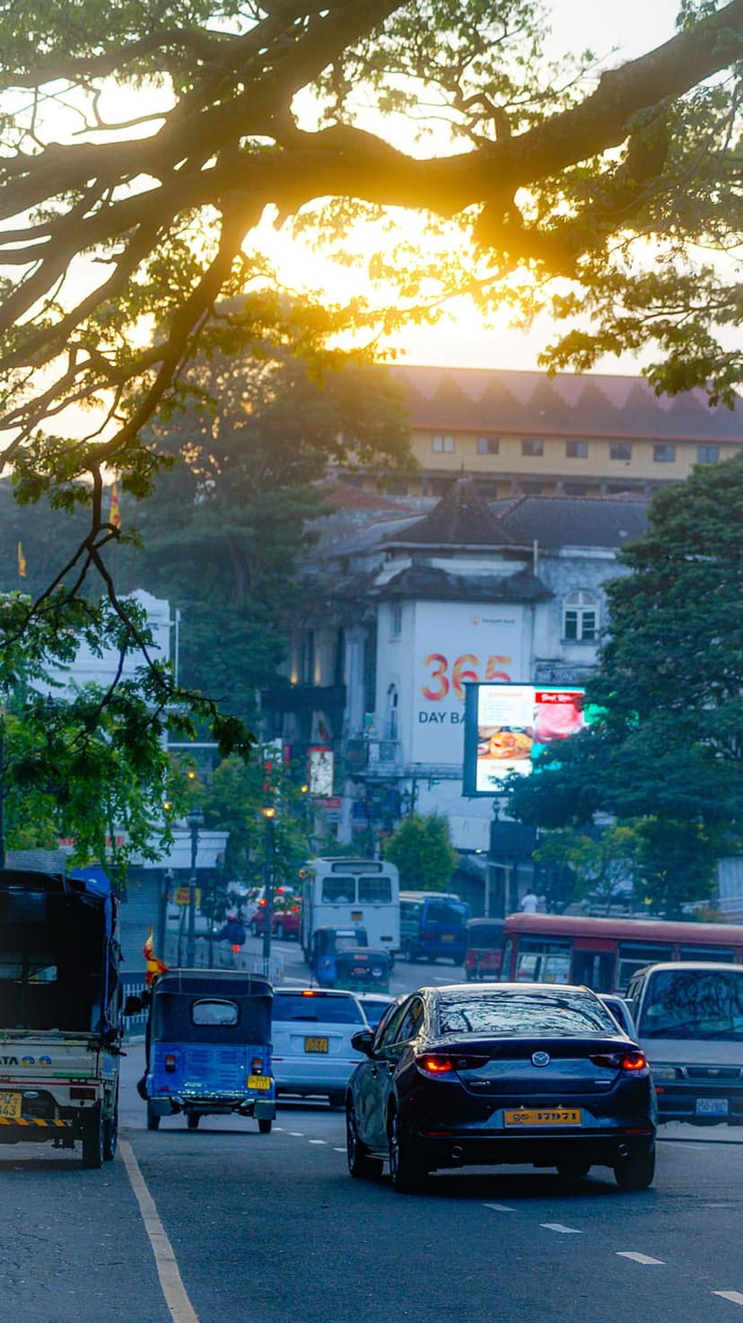 Tuk-tuks and buses drive down a sun-drenched urban road framed by large tropical trees during a golden sunrise.