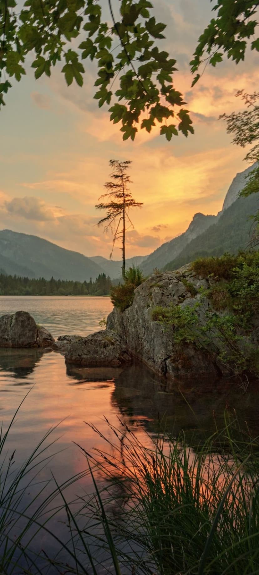 Slender tree on a rocky shoreline reflects in a calm mountain lake under an orange and yellow sunset sky.