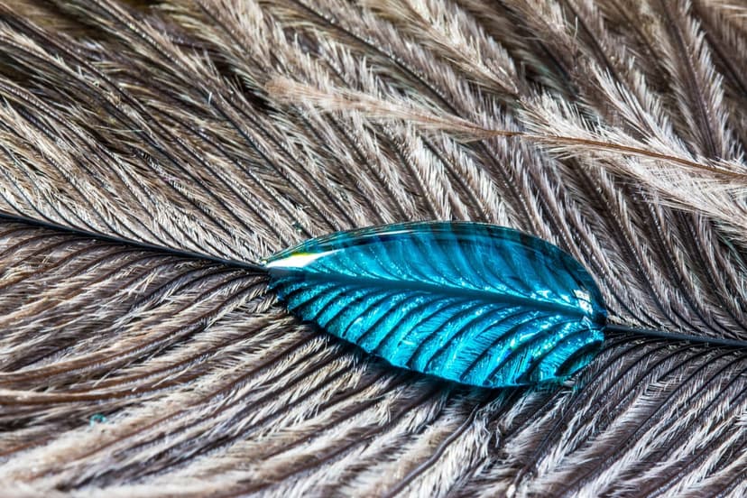 Blue translucent water droplet shaped like a leaf resting on delicate white feather fibers in macro view.