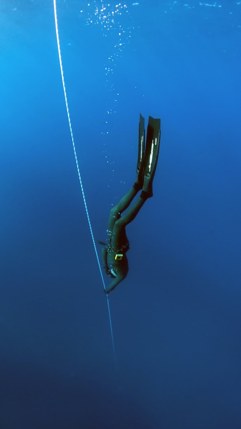 Freediver in a black wetsuit holding a white guide rope while descending into deep blue water with air bubbles.