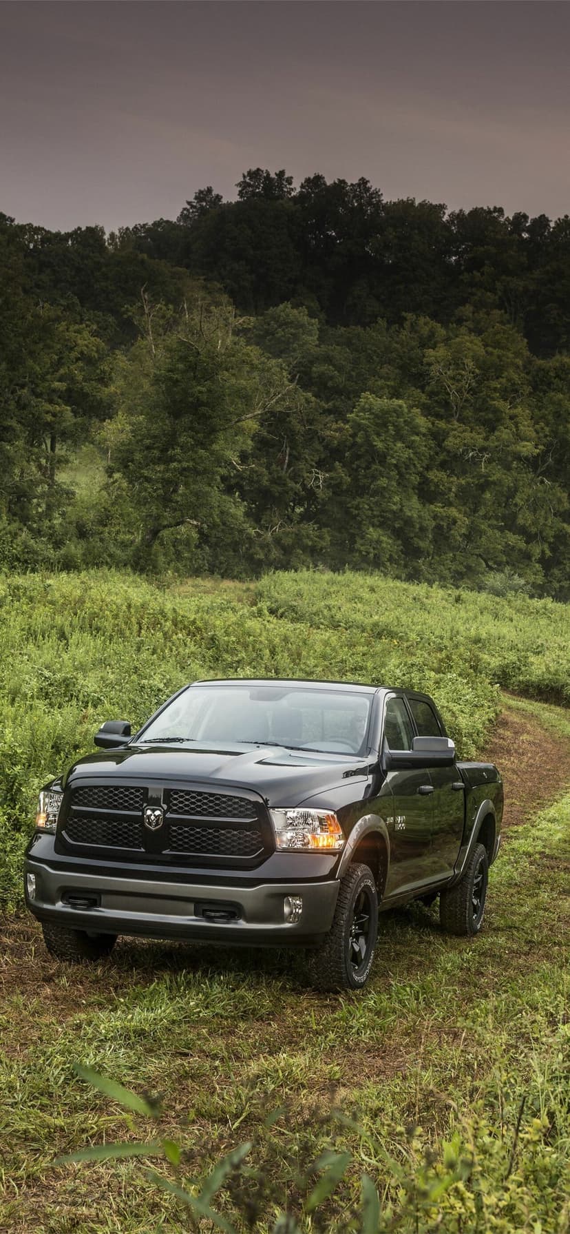 Black Ram pickup truck parked on a narrow dirt path through a tall green grass field with forest background.