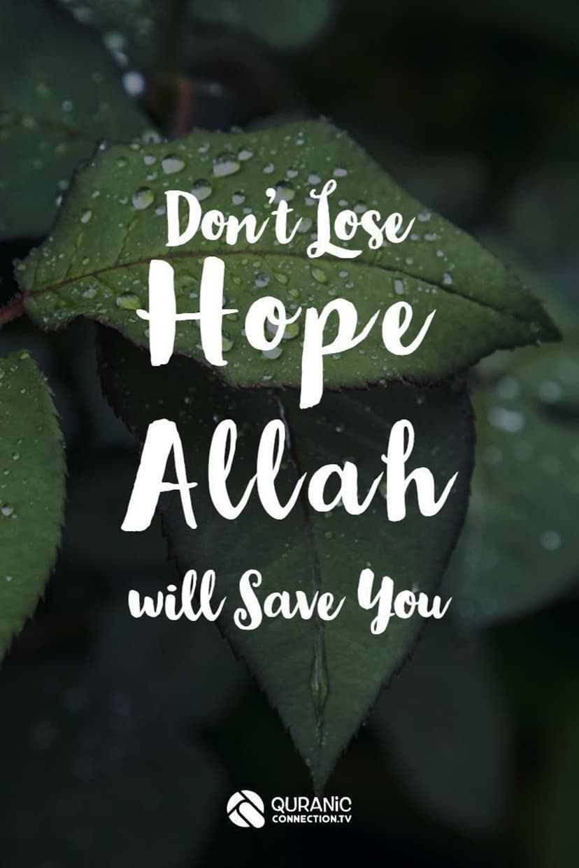 Green leaves with water droplets featuring the text Don't Lose Hope Allah Will Save You in a vertical layout.