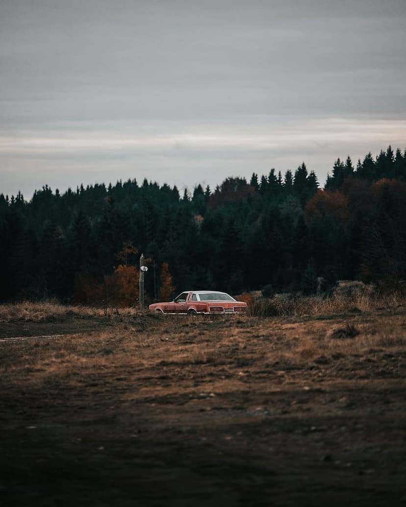 Rusty orange car sits abandoned in a field of dry yellow grass with a dark evergreen forest in the background.