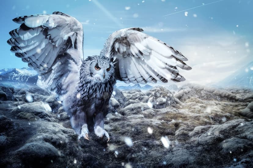 Snowy owl with wings wide open landing on snow-covered rocks in front of blue mountains and falling snowflakes.