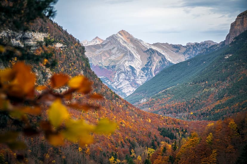 Snow-capped mountain peaks tower over a lush valley of orange and yellow autumn trees under a moody cloudy sky.