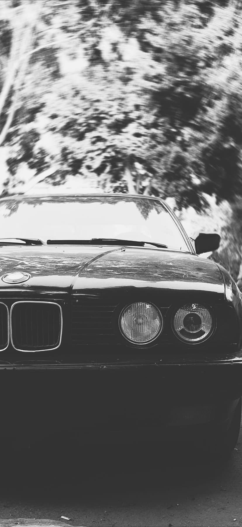 BMW E30 front grille and headlights in monochrome with motion blurred trees in a low-angle perspective.