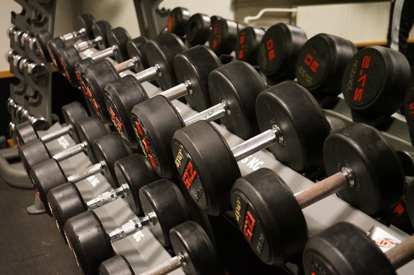 Black rubber dumbbells with silver handles sit in a neat row on a professional tiered metal gym storage rack.