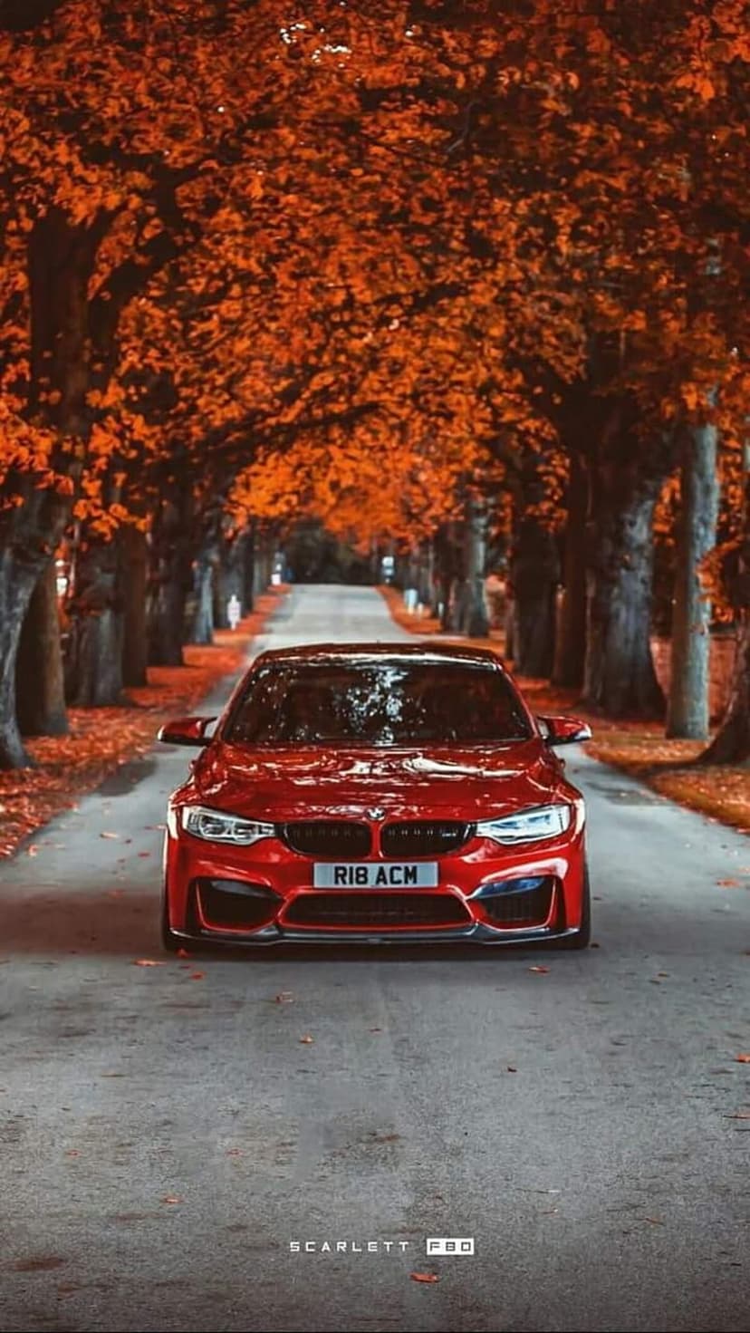 Red BMW M4 sports car parked on an asphalt road surrounded by vibrant orange autumn trees and fallen leaves.